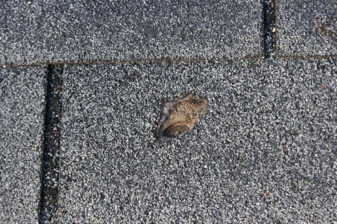 Picture of sign of hail damage to your roof.