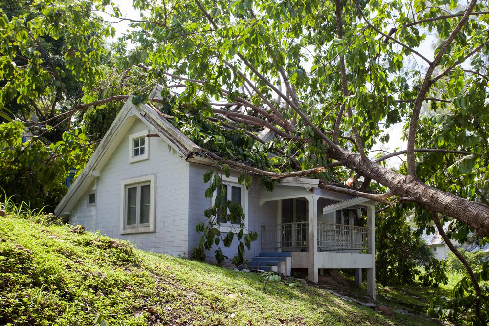 Maple Grove Storm Damage Repair and Restoration Contractor