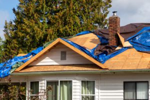 Storm Damage Repair and Restoration Professionals in Chanhassen, MN