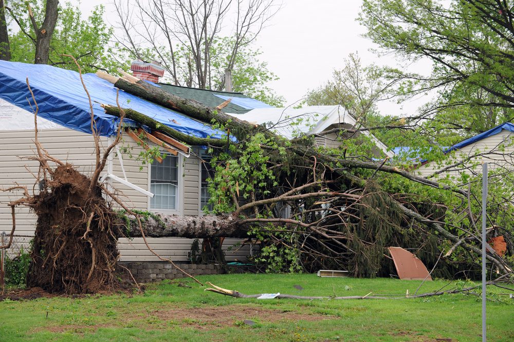 Lakeville Storm Damage Repair and Restoration Contractor