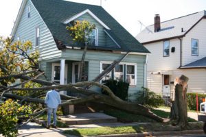 Carver Storm Damage Repair and Restoration Contractors