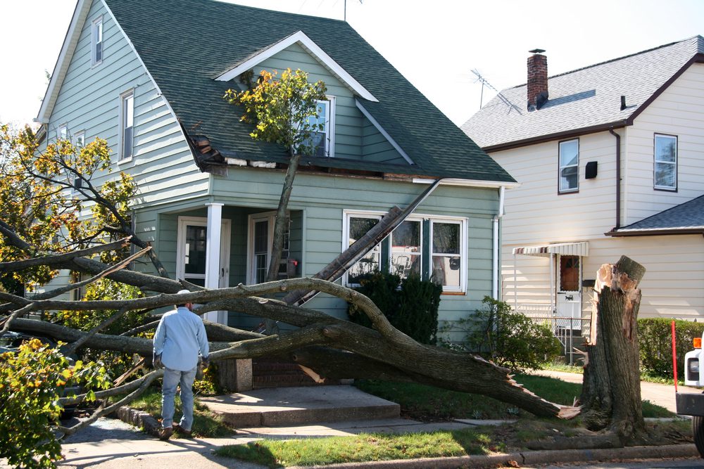 Storm Damage Repair and Restoration Contractors near Rogers, mn
