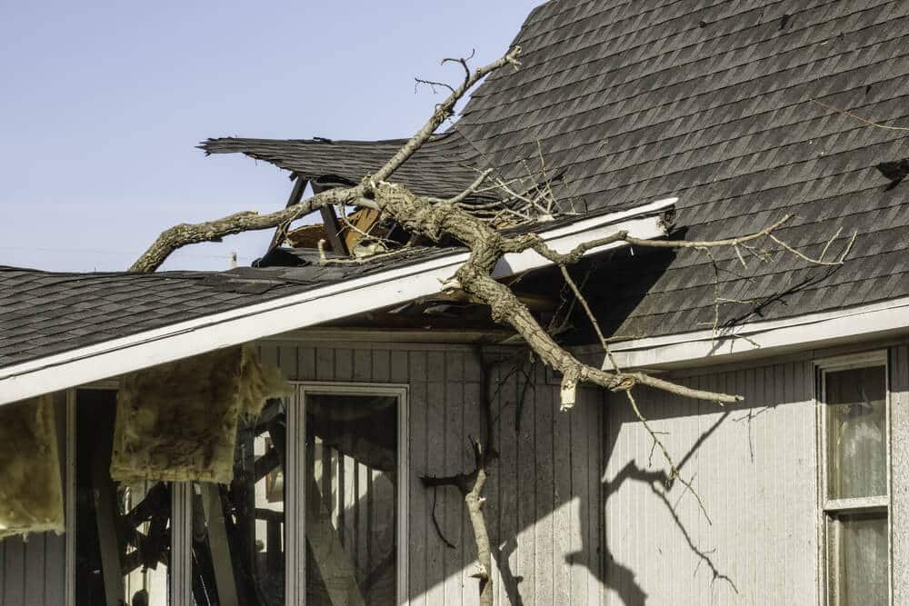 Can Tree Branches Damage a Roof?